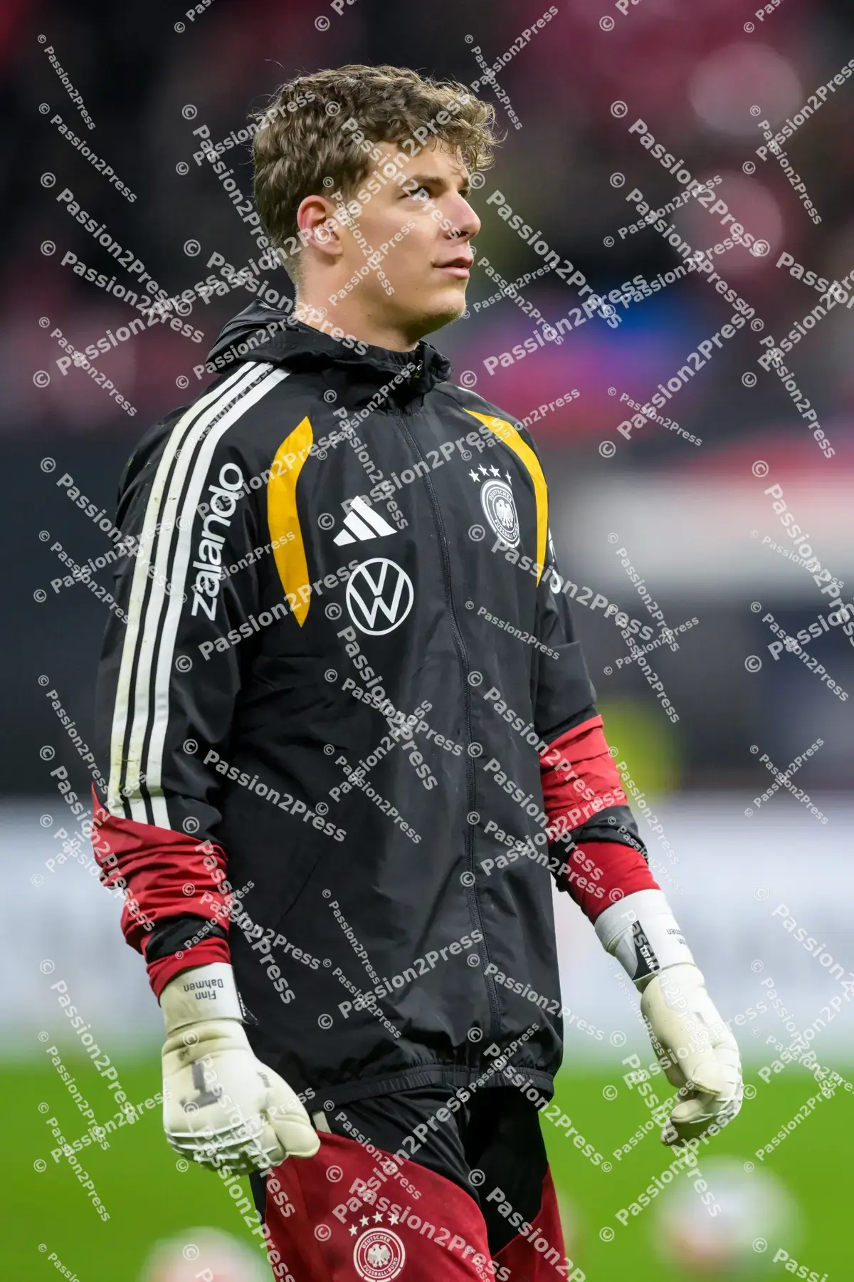 DFBSVK_20251117_0194